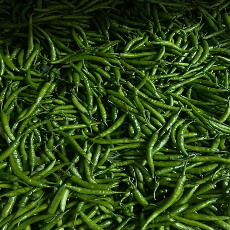 Green Chilli | Earth Essence