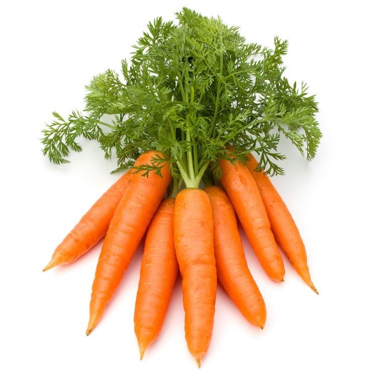 Carrot Ooty | Earth Essence