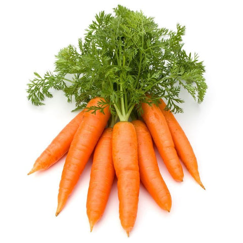 Carrot Ooty | Earth Essence