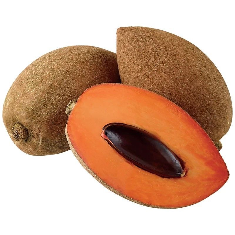 Sapota | Earth Essence