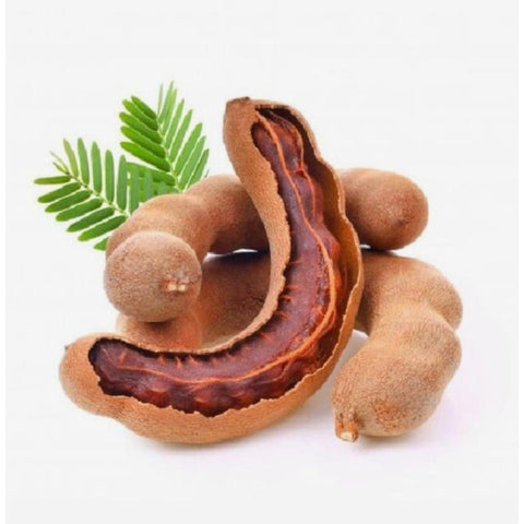 Tamarind | Earth Essence