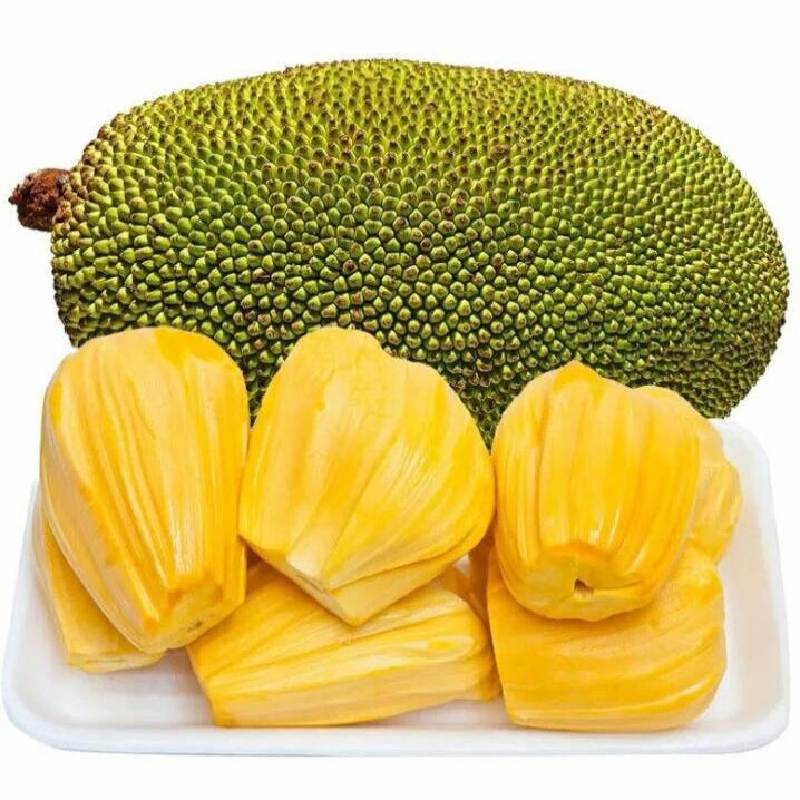 Baby Jackfruit | Earth Essence