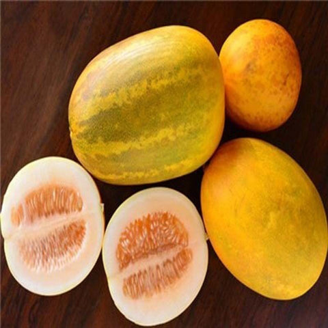 Sambar Cucumber | Earth Essence