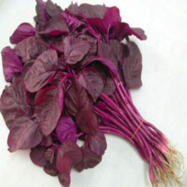 Red Amaranthus | Earth Essence