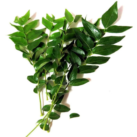 Curry Leaves | Earth Essence