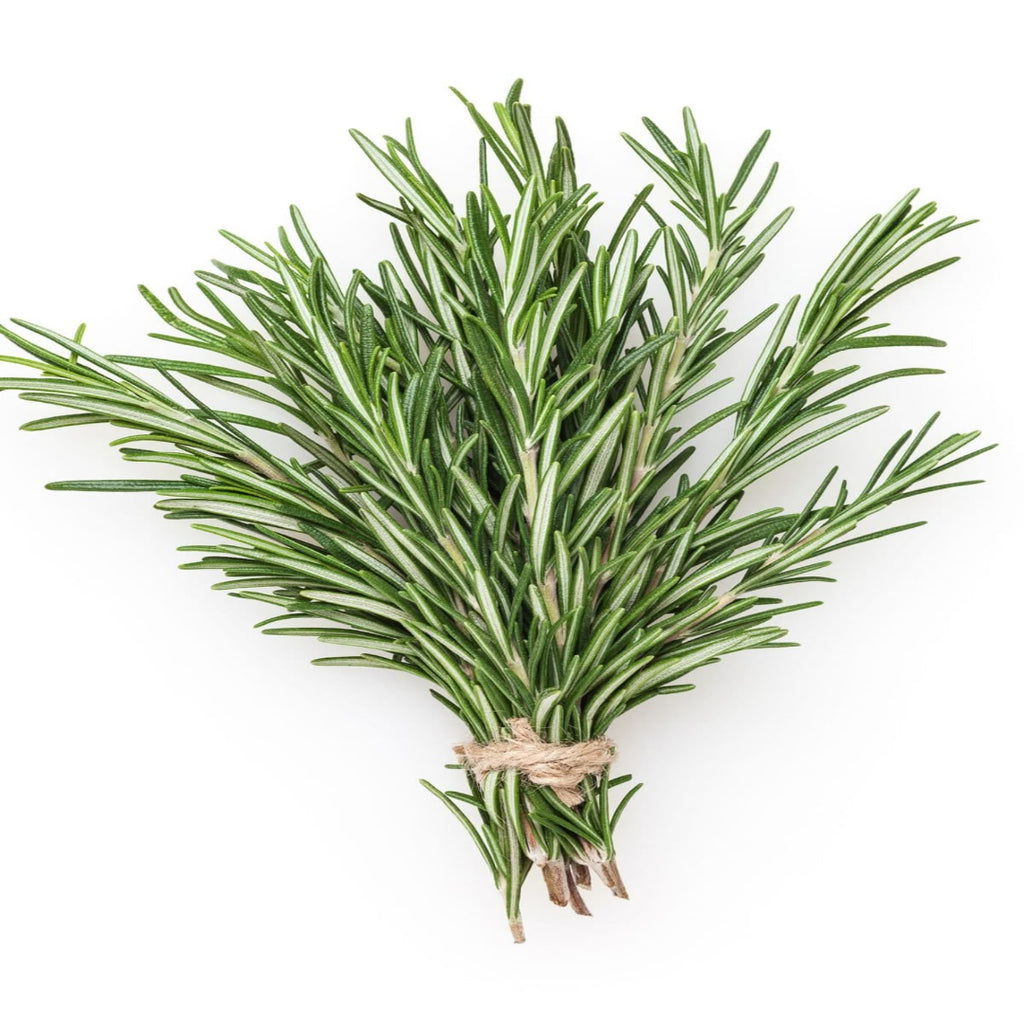 Rosemary | Earth Essence