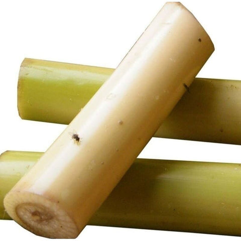 Banana Stem | Earth Essence