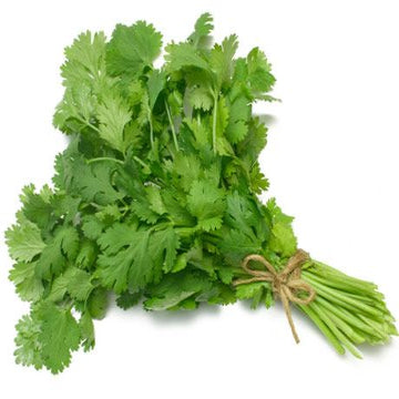 Coriander | Earth Essence