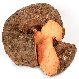Elephant Foot Yam | Earth Essence