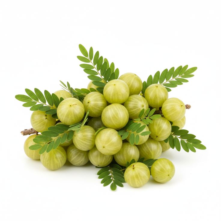 Amla | Earth Essence
