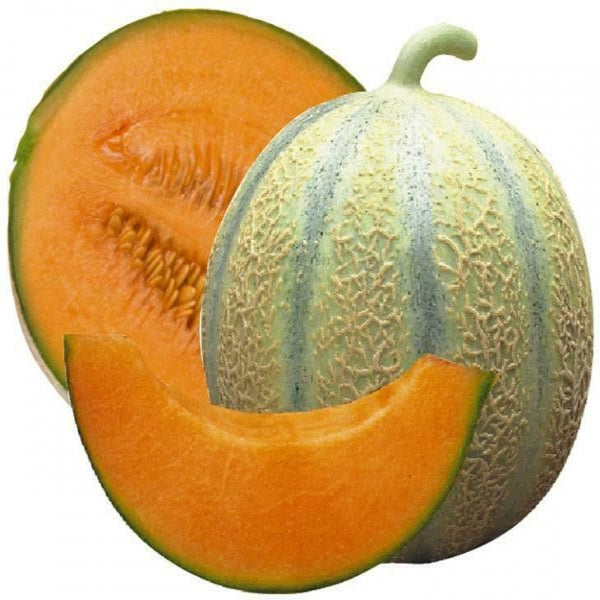 Muskmelon | Earth Essence