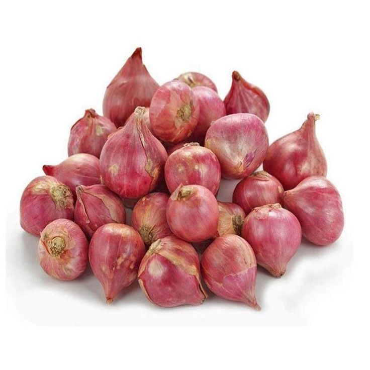 Sambar Onion | Earth Essence