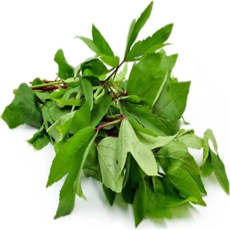 Gongura | Earth Essence