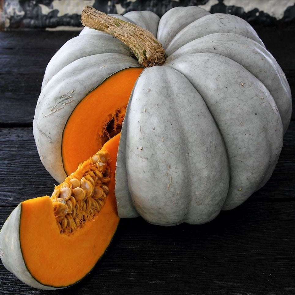 White Pumpkin | Earth Essence