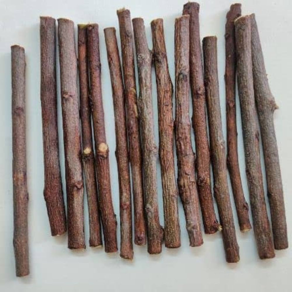 Neem Sticks | Earth Essence