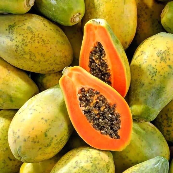 Papaya | Earth Essence
