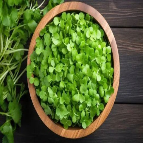 Brahmi | Earth Essence