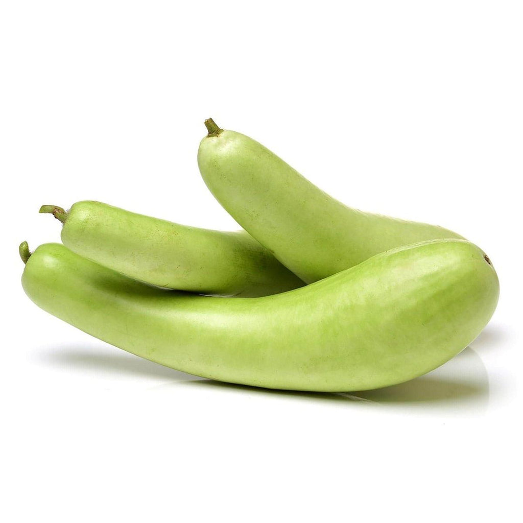 Bottle Gourd | Earth Essence