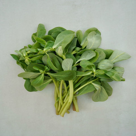 Purslane | Earth Essence