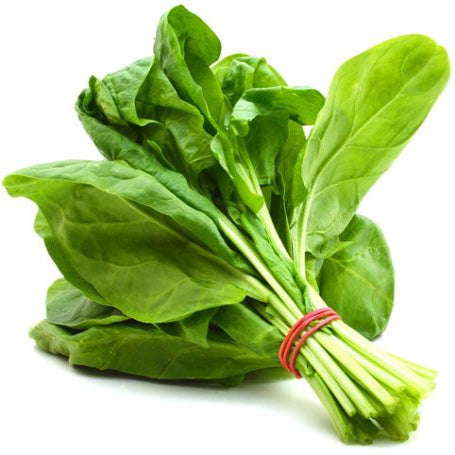 Baby Spinach | Earth Essence
