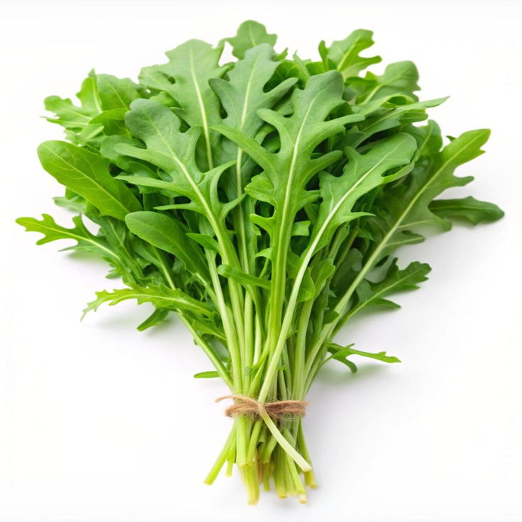 Bunch of fresh green arugula leaves tied with twine on a white background