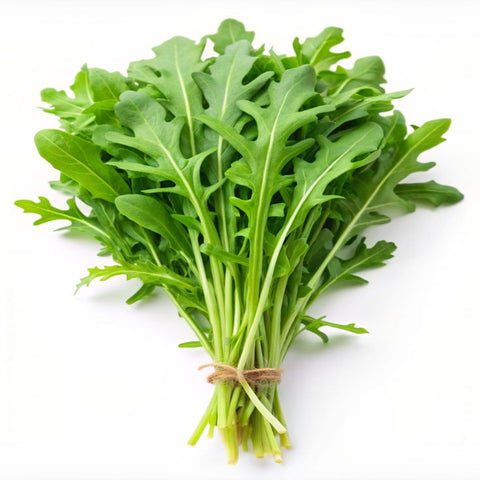 Bunch of fresh green arugula leaves tied with twine on a white background